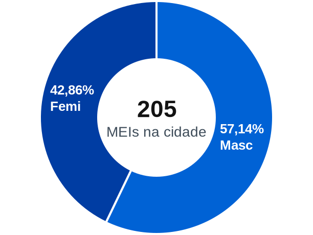 Gênero de MEIs na cidade de Cariri do Tocantins