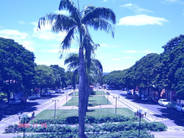 Mei Microempreendedor em Paranacity, PR