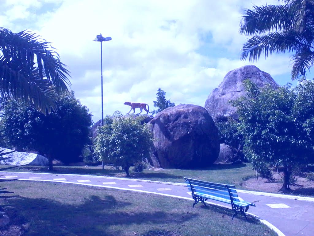 Mei Microempreendedor em Upanema, RN
